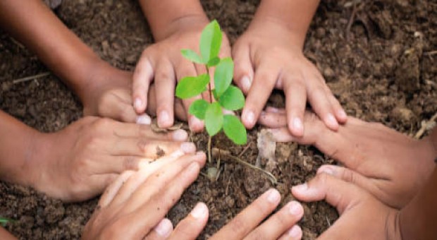 Un albero, una persona, una comunità