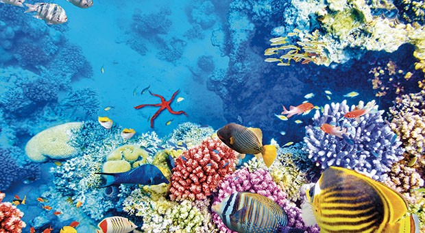 L'Europa e le sfide globali. Ocean's World Day 2019