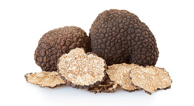 Tartufo
