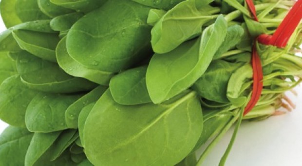 spinaci