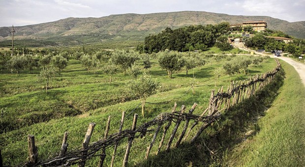 Albania: l’itinerario culturale degli ulivi