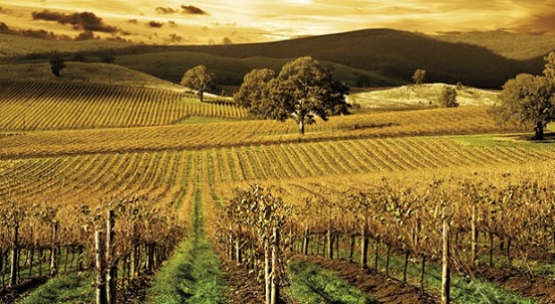 Gita in Franciacorta