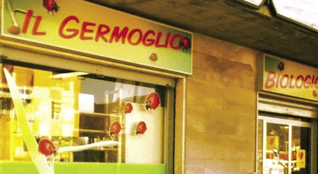 Il Germoglio Il Germoglio